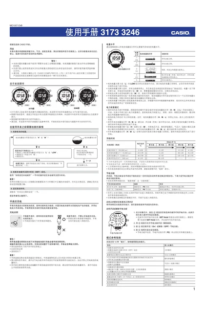 casio 卡西欧 3173